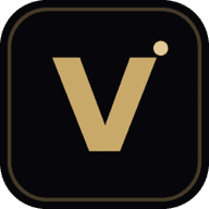 Logo Vilm Group